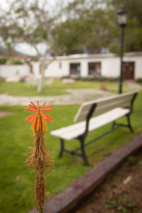 Tampu Otel Cachí Dış mekan fotoğraf